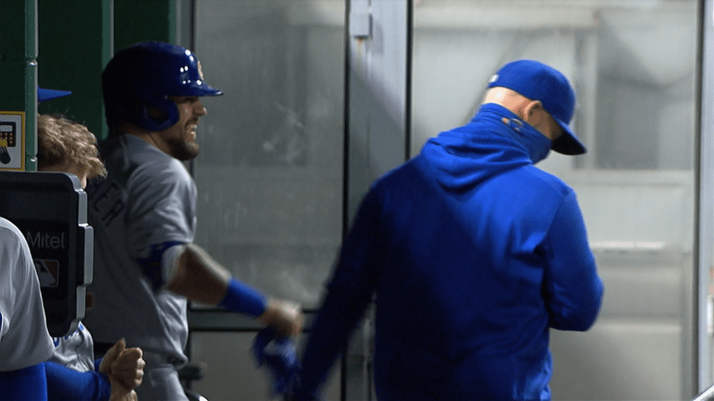 Ross Schwarber V2