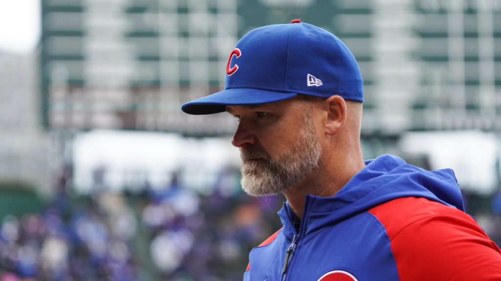 David Ross Feature Image