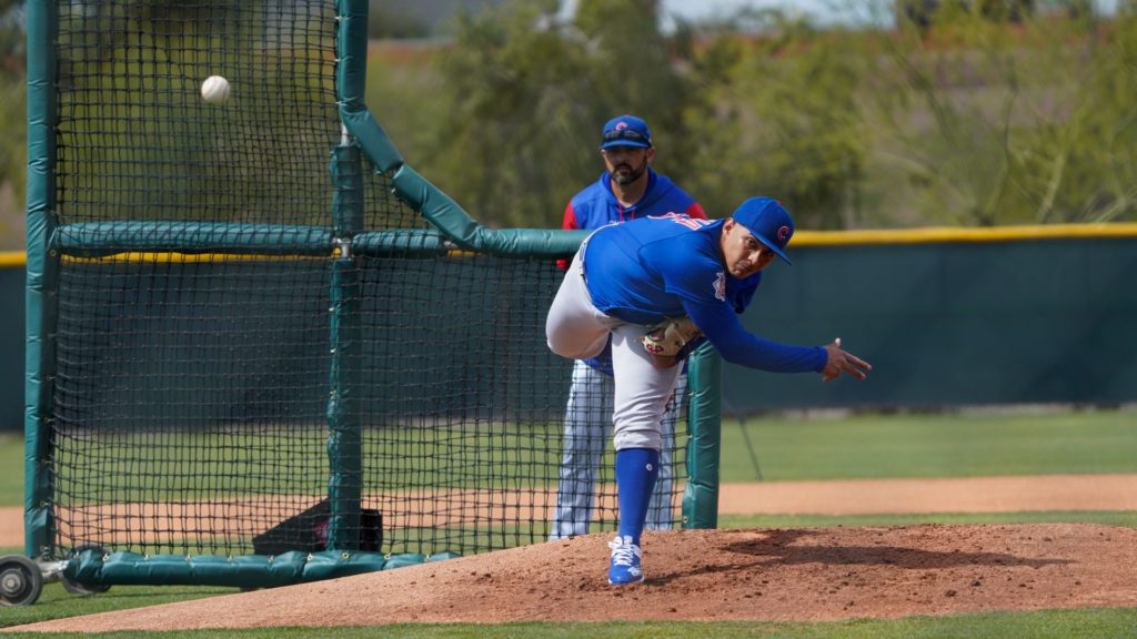 Palencia Live Bp 6