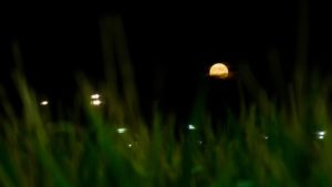 Microsoftteams Image (2)