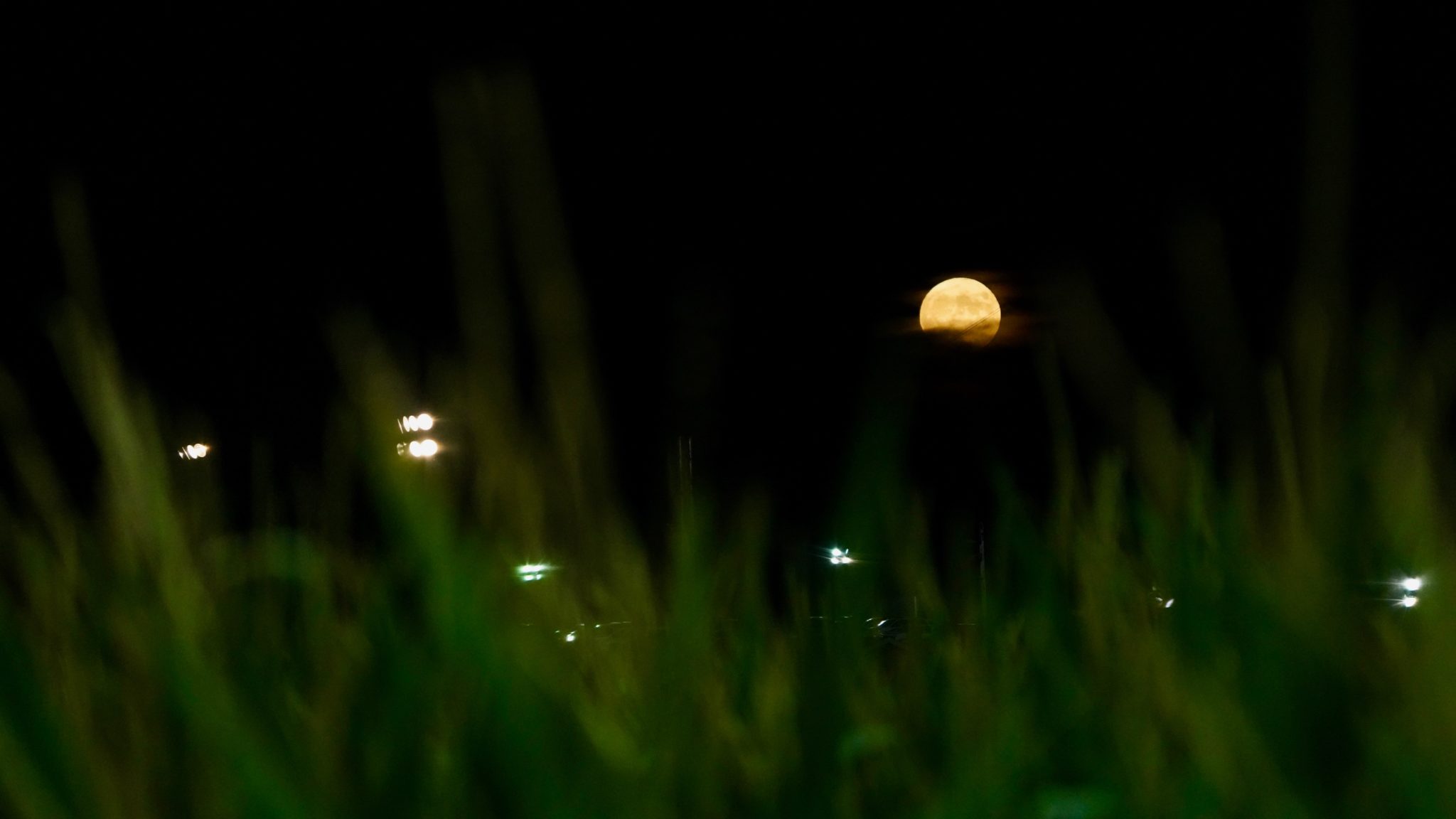 Microsoftteams Image (2)