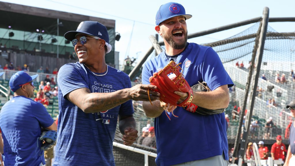 Why Veterans Love Vibe With Cubs