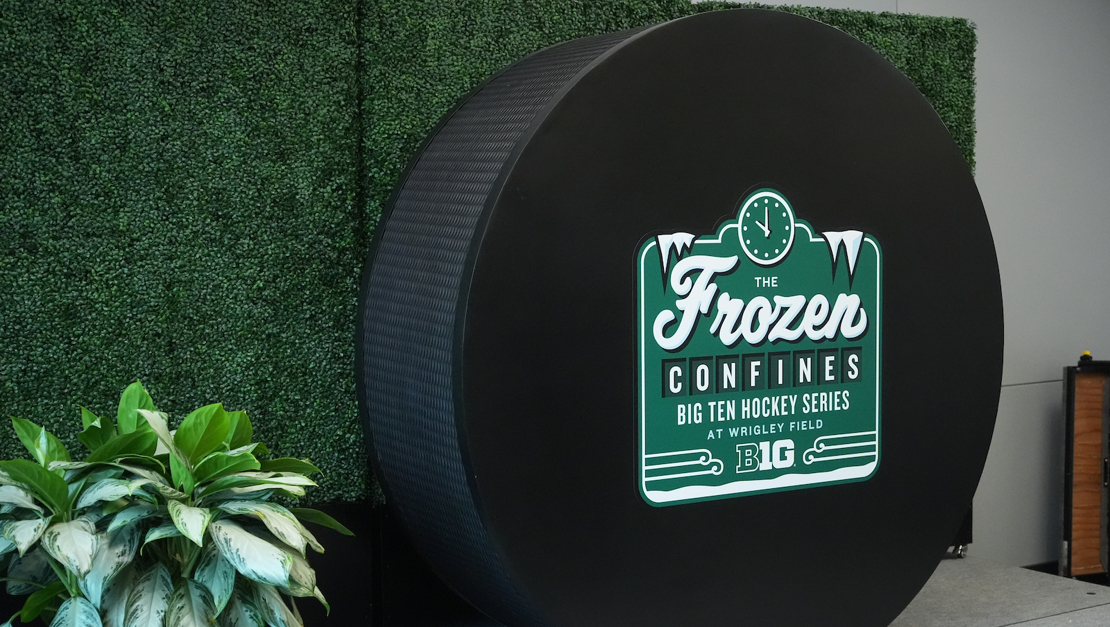 Frozen Confines Puck