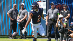 Bears Season Predictions
