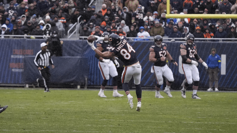 Untitled Design (12)