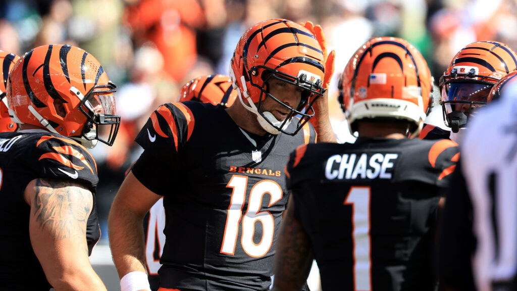 Joe Flacco Bengals Bears Injury
