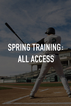 Batter At Home Plate